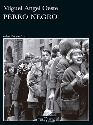 cover image of Perro negro
